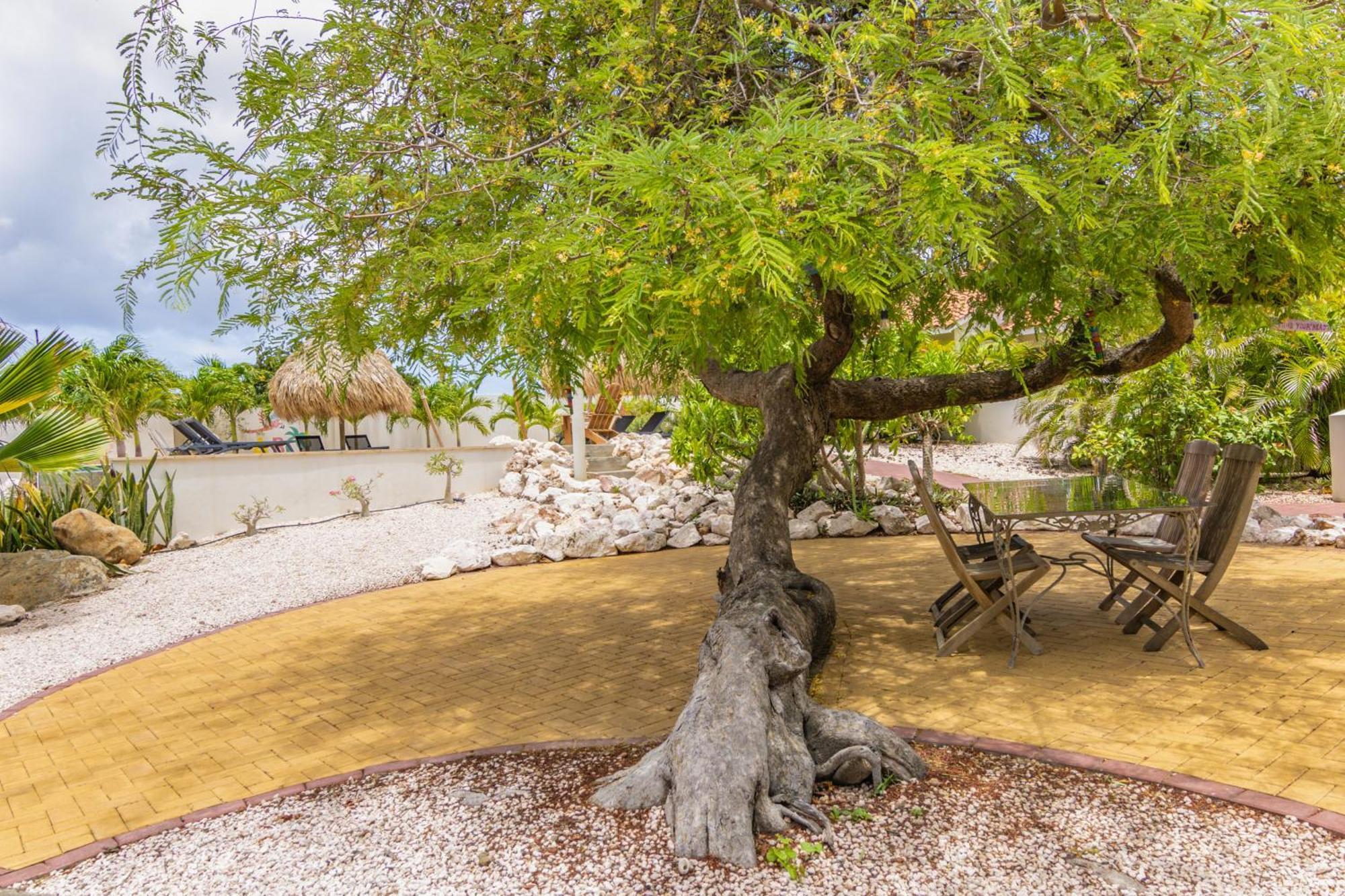 Abc Lodges Curacao Βίλλεμσταντ Εξωτερικό φωτογραφία